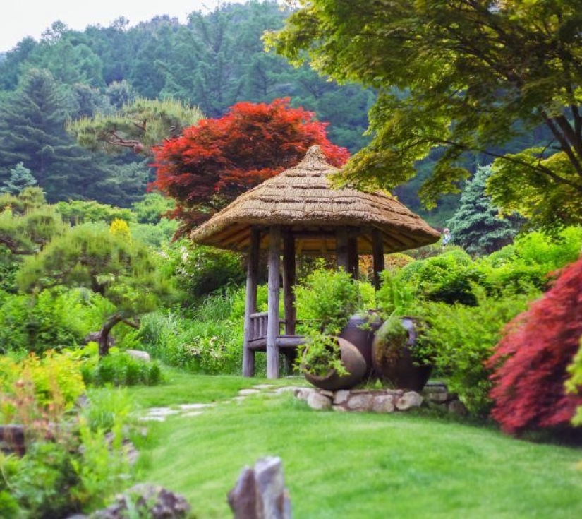 HÀNH TRÌNH TÌNH YÊU TRÊN ĐẤT HÀN: SEOUL - VƯỜN BAN MAI TĨNH LẶNG - LOTTE WORLD (5 NGÀY 4 ĐÊM)