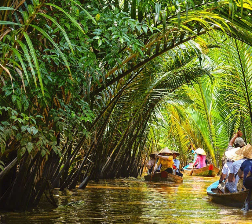 MỸ THO - CẦN THƠ - CHỢ NỔI - CỒN SƠN - VƯỜN TRÁI CÂY