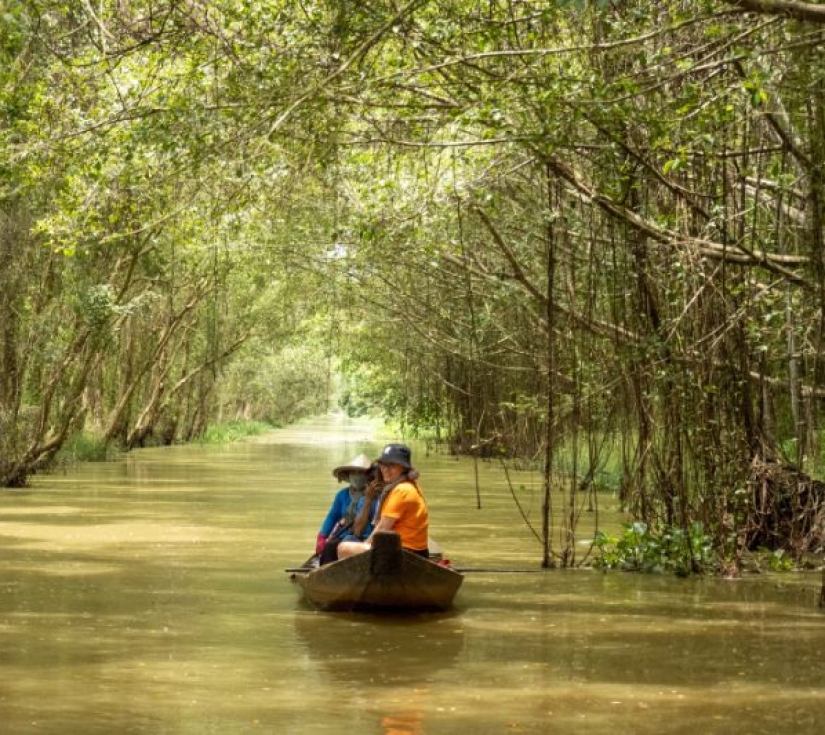 DU LỊCH : CHỮA LÀNH" - KHU DU LỊCH GÁO GIỒNG  