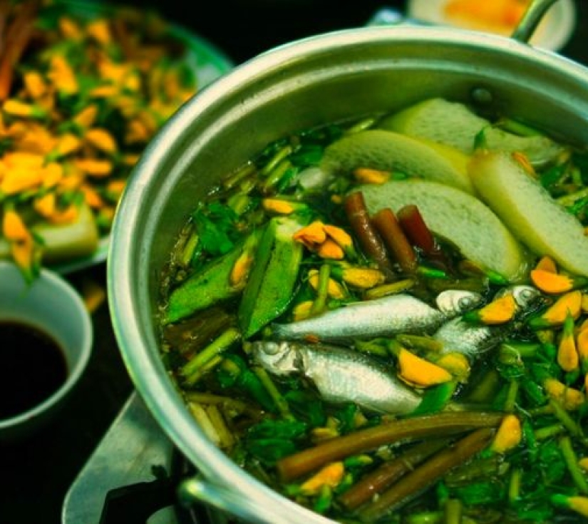 DU LỊCH : CHỮA LÀNH" - KHU DU LỊCH GÁO GIỒNG  