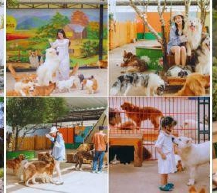 Tour du lịch Tp.HCM - Đà Lạt