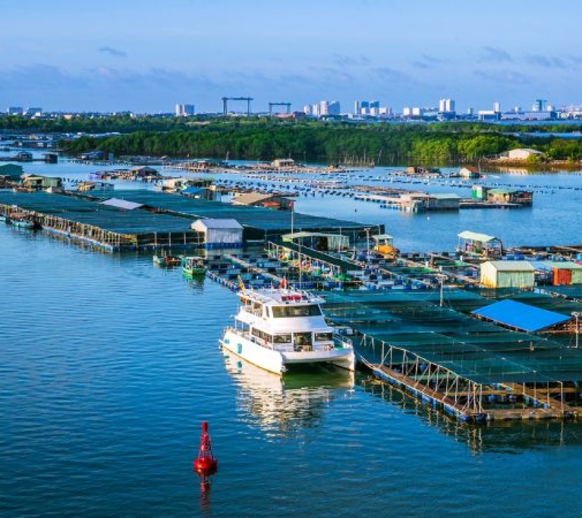 VŨNG TÀU – ĐẢO LONG SƠN