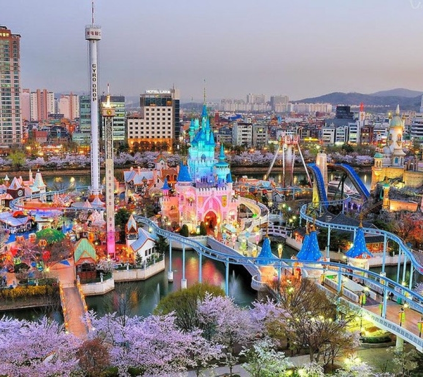 Hàn Quốc: Vườn Ban Mai Tĩnh Lặng - Lotte World - Cung Điện 5 Ngày 4 Đêm