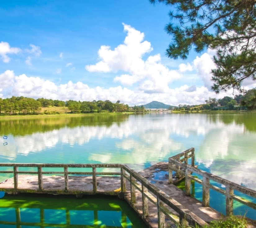  TRUY TÌM KHO BÁU – KHÁM PHÁ NÚI RỪNG  