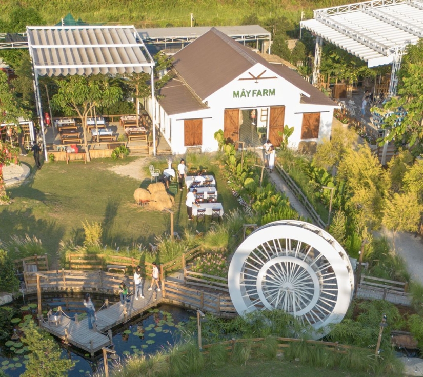 Tour Mây Farm  Quận 7 