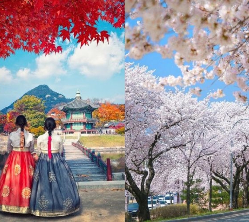 HÀNH TRÌNH TÌNH YÊU TRÊN ĐẤT HÀN: SEOUL - VƯỜN BAN MAI TĨNH LẶNG - LOTTE WORLD (5 NGÀY 4 ĐÊM)