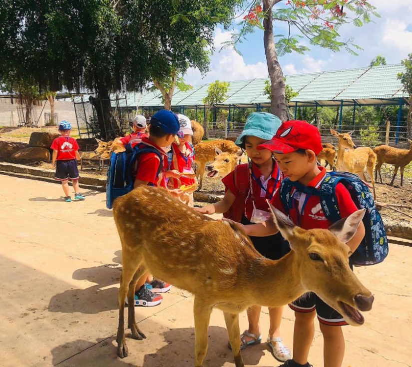 Tour Vườn Thú Mỹ Quỳnh 