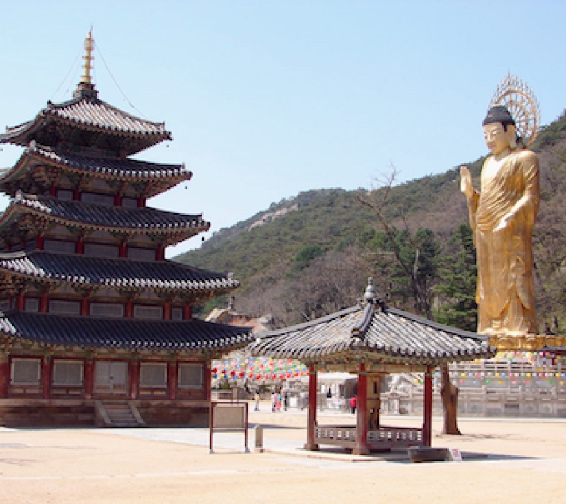 SEOUL - DMZ (KHU PHI QUÂN SỰ) – NAMI – CHÙA PHẬT GIÁO HÀN QUỐC