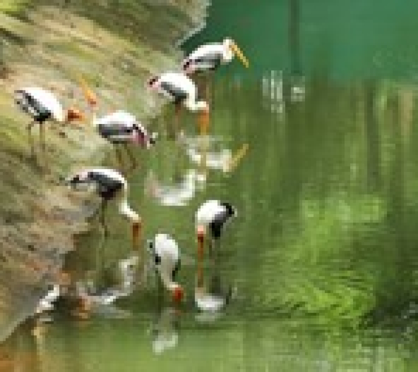 KHU DU LỊCH ĐẠI NAM BÌNH DƯƠNG  
