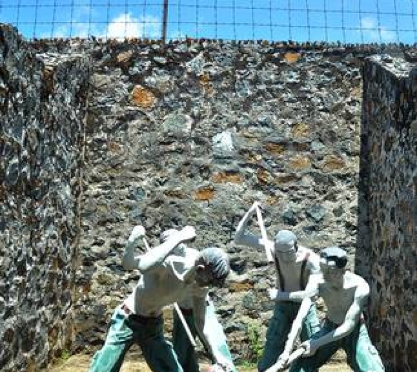 Tour Vũng Tàu – Côn Đảo 2 Ngày 1 Đêm | Hành Trình Tâm Linh & Biển Đảo Thiêng Liêng