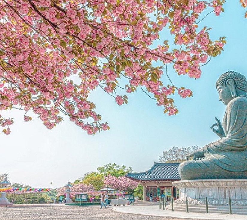 SEOUL – IMJINGAK - CHÙA TÀO KHÊSEOUL – IMJINGAK - CHÙA TÀO KHÊ