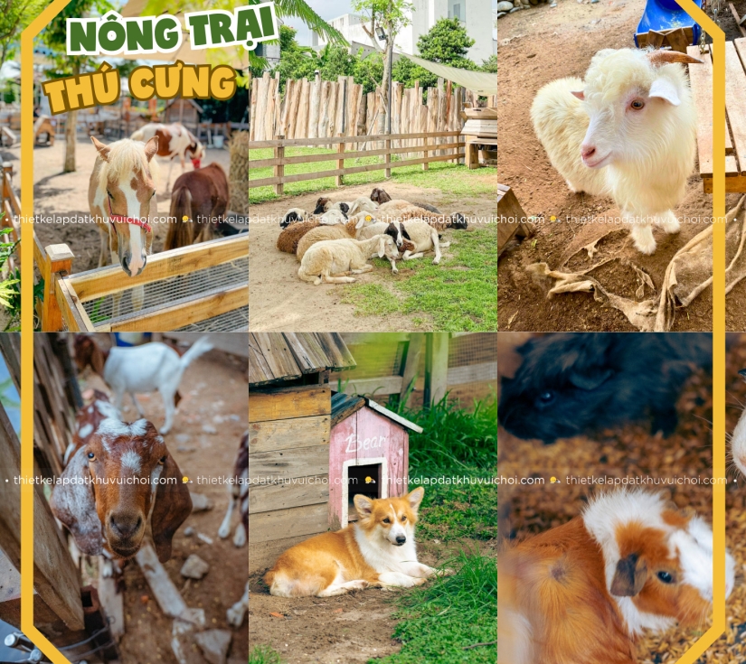 Tour Mây Farm  Quận 7 