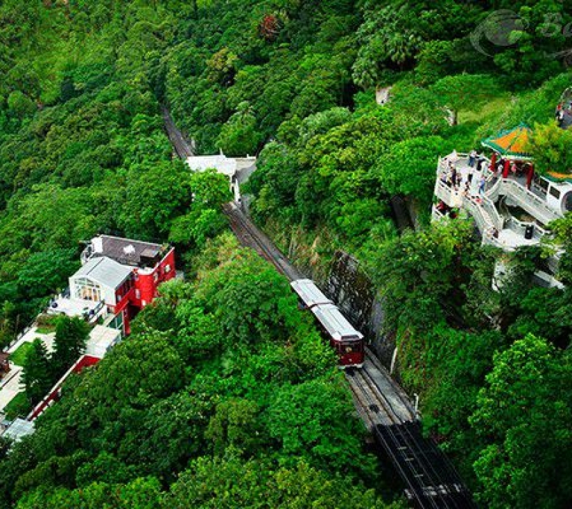 HONG KONG: NÚI THÁI BÌNH - LAN KWAI FONG & MỘT NGÀY TỰ DO MUA SẮM SIÊU CHÁY (4N3Đ)
