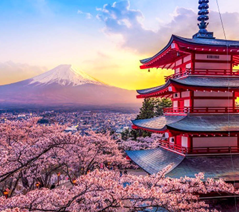 NAGOYA - SHINKANSEN - PHÚ SĨ - KAMAKURA - TOKYO (5N4Đ)