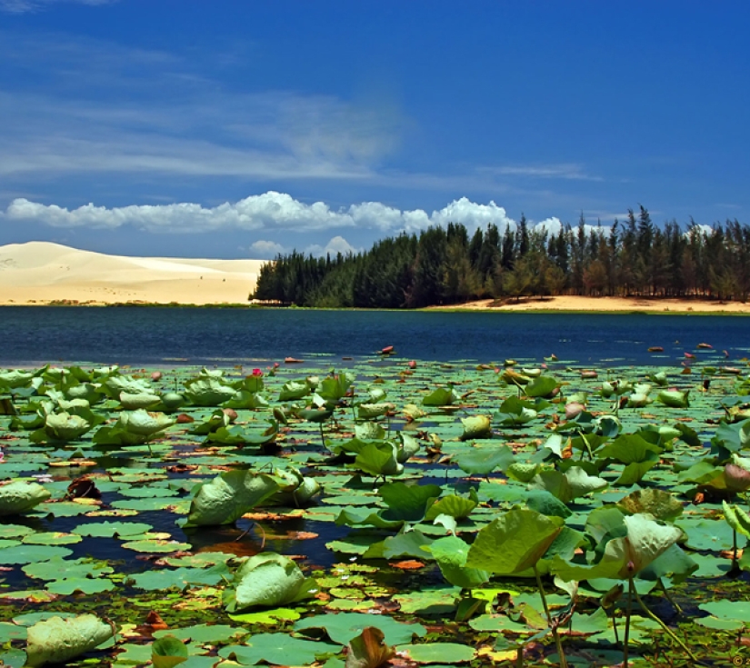  KHÁM PHÁ “PHAN THIẾT”  PHỦ THỦ CỦA BIỂN XANH - CÁT TRẮNG - NẮNG VÀNG