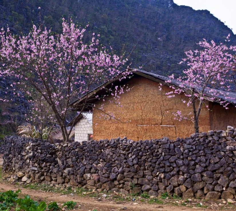 HÀ NỘI - HÀ GIANG - LŨNG CÚ - ĐÈO MÃ PHÌ LÈNG – SÔNG NHO QUẾ - SAPA – FANSIPAN