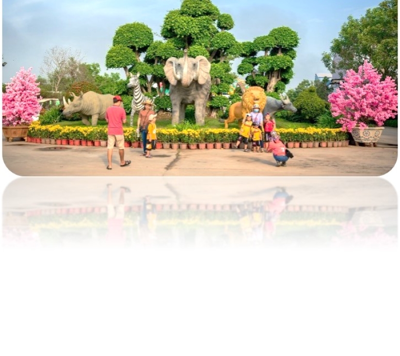 Hành Trình Học Tập & Khám Phá Thiên Nhiên – Di Tích Láng Le Bàu Cò & Vườn Thú Mỹ Quỳnh Safari