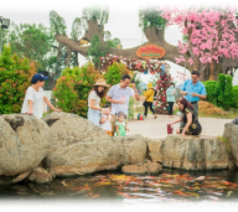 Chương trình vui chơi và học tập tại Vườn thú Mỹ Quỳnh