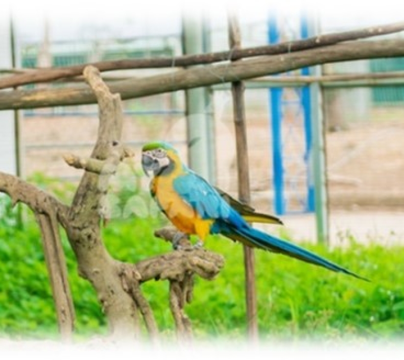 Hành Trình Học Tập & Khám Phá Thiên Nhiên – Di Tích Láng Le Bàu Cò & Vườn Thú Mỹ Quỳnh Safari