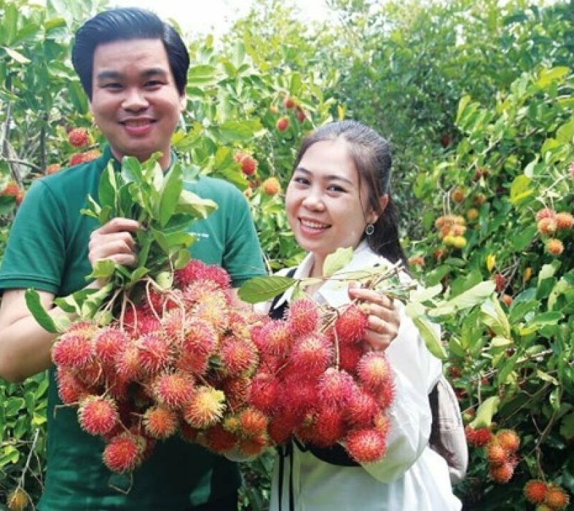 NÚI CHỨA CHAN – GIA LÀO -  LONG KHÁNH (VƯƠNG QUỐC TRÁI CÂY)