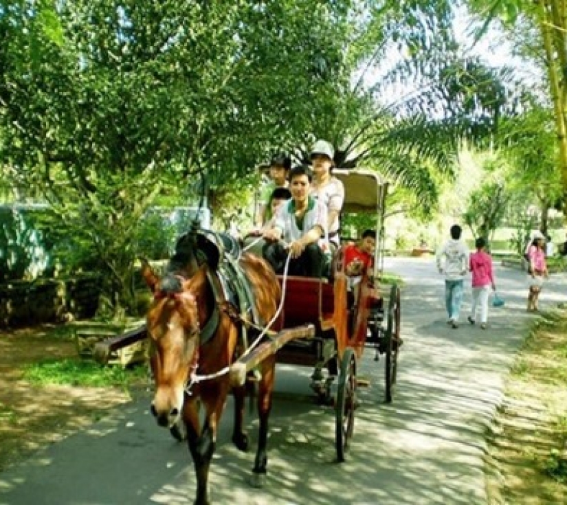 KHÁM PHÁ MIỀN TÂY SÔNG NƯỚC  THAM QUAN CỒN LONG LÂN QUY PHỤNG