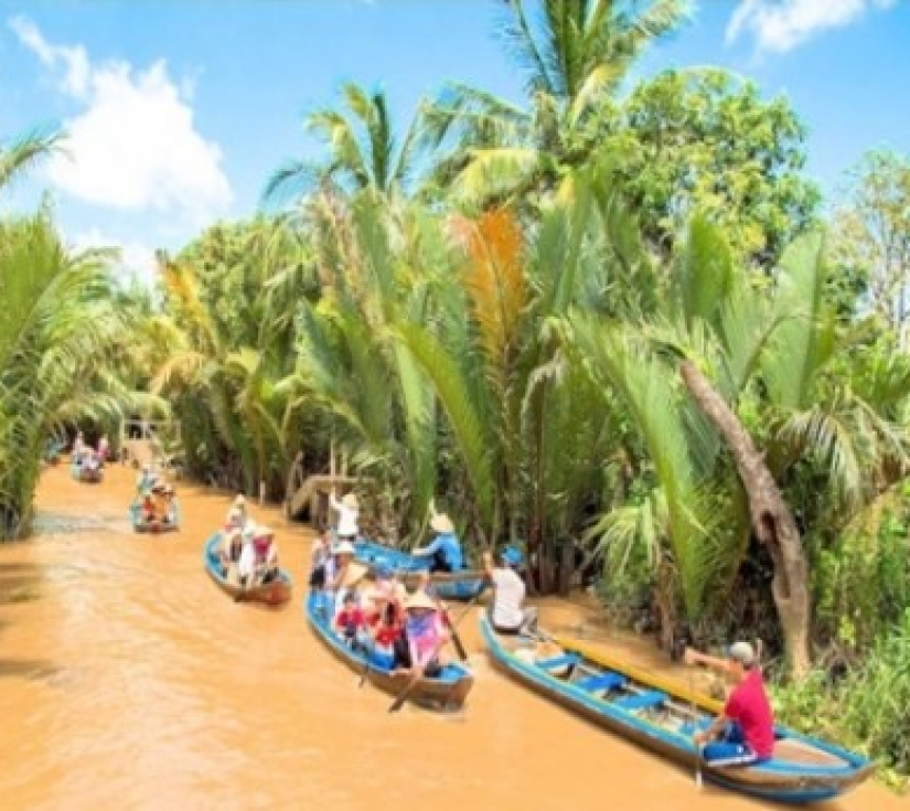 KHÁM PHÁ MIỀN TÂY SÔNG NƯỚC  THAM QUAN CỒN LONG LÂN QUY PHỤNG