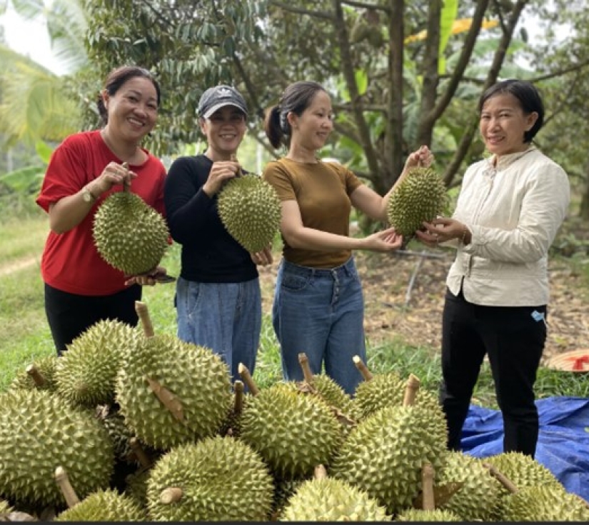 NÚI CHỨA CHAN – GIA LÀO -  LONG KHÁNH (VƯƠNG QUỐC TRÁI CÂY)