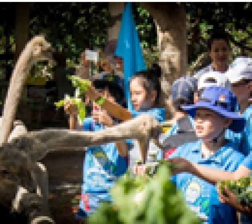 CHƯƠNG TRÌNH THAM QUAN GIÁO DỤC – HỒ MÂY PARK VŨNG TÀU
