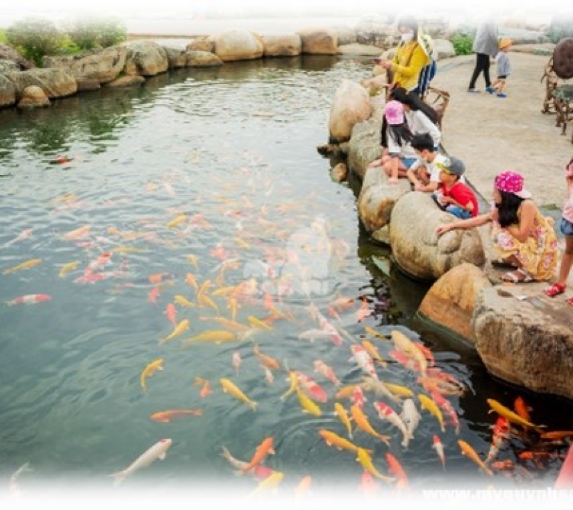 Hành Trình Học Tập & Khám Phá Thiên Nhiên – Di Tích Láng Le Bàu Cò & Vườn Thú Mỹ Quỳnh Safari