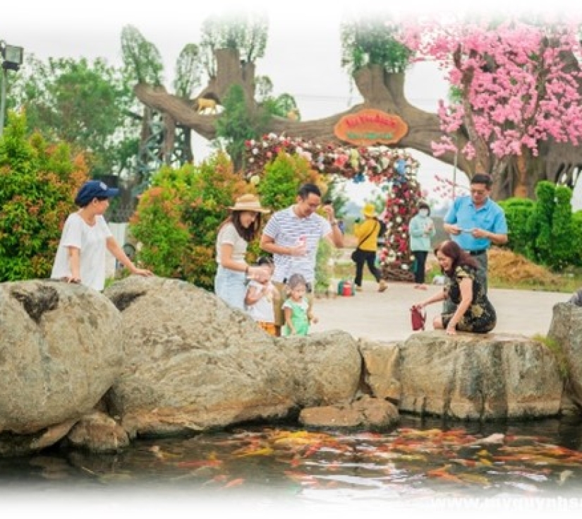 Hành Trình Học Tập & Khám Phá Thiên Nhiên – Di Tích Láng Le Bàu Cò & Vườn Thú Mỹ Quỳnh Safari