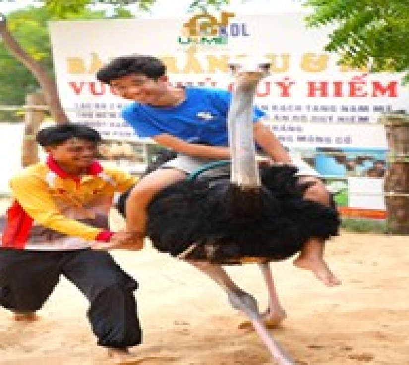 PHAN THIẾT – MŨI NÉ  SA MẠC HOANG SƠ