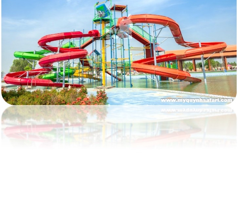 Hành Trình Học Tập & Khám Phá Thiên Nhiên – Di Tích Láng Le Bàu Cò & Vườn Thú Mỹ Quỳnh Safari