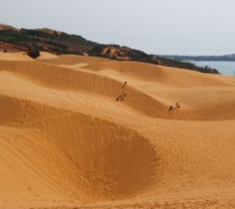  TOUR NINH CHỮ –  VĨNH HY (2 NGÀY 1 ĐÊM)