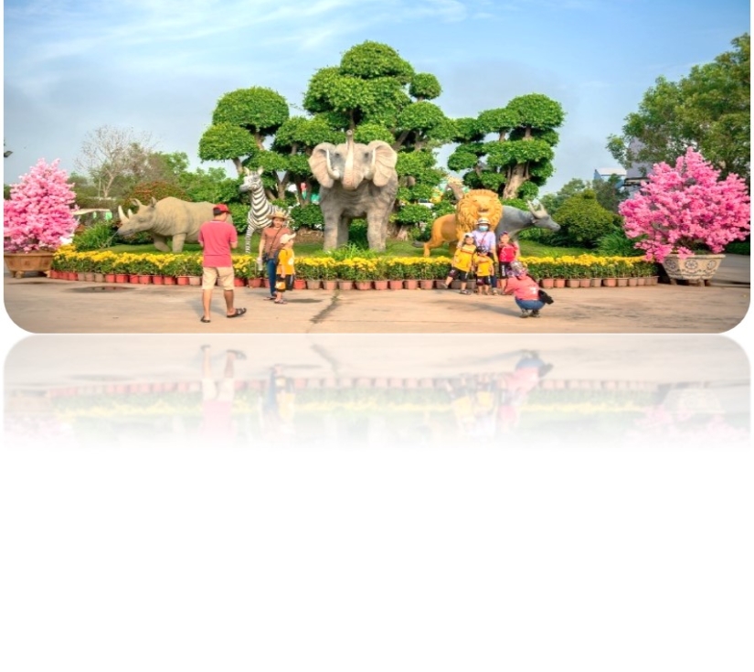 DI TÍCH LÁNG LE - BÀU CÒ & VƯỜN THÚ MỸ QUỲNH SAFARI