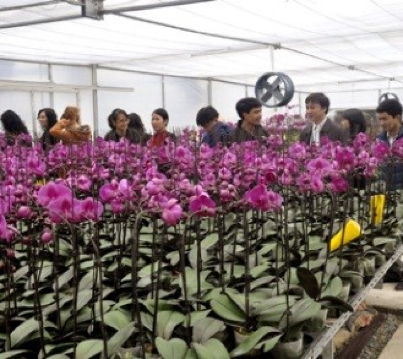 Địa đạo củ chi - khu nông nghiệp công nghệ cao - tát mương bắt cá – hồ bơi
