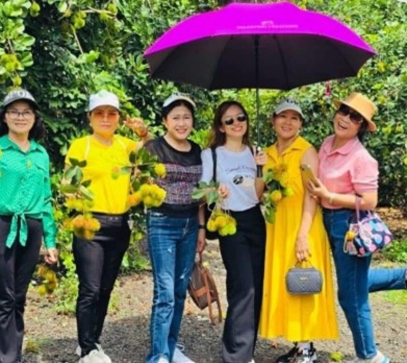 Tour tàu lửa Long Khánh – Vườn trái cây, chùa đẹp, khu du lịch hấp dẫn