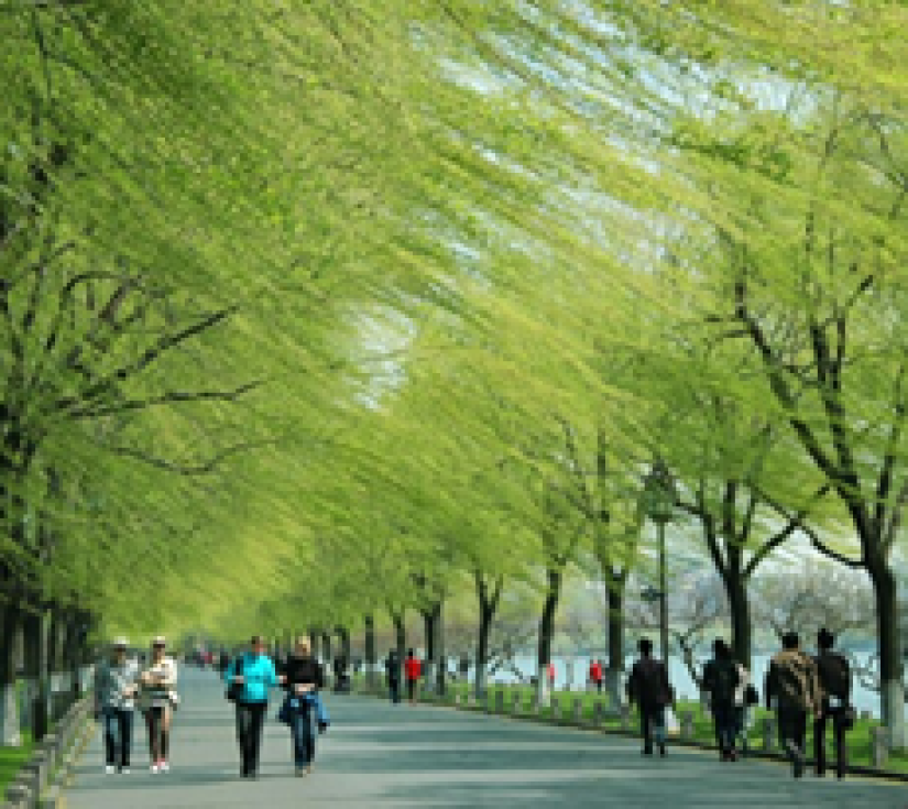 THƯỢNG HẢI – Ô TRẤN – HÀNG CHÂU – TÔ CHÂU