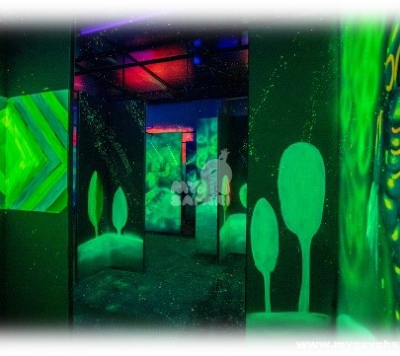 Hành Trình Học Tập & Khám Phá Thiên Nhiên – Di Tích Láng Le Bàu Cò & Vườn Thú Mỹ Quỳnh Safari