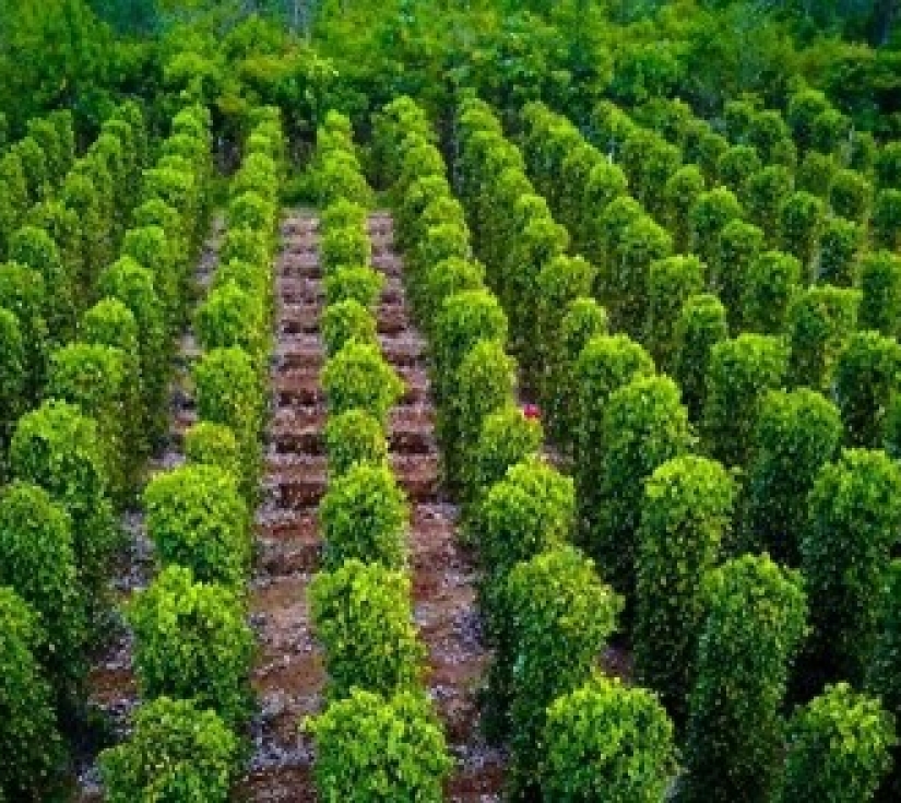 An Giang - Phú Quốc 3 ngày 2 đêm