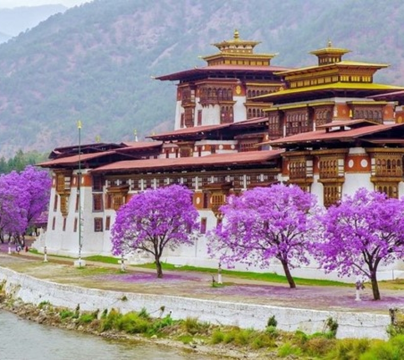 Bhutan 2026: Chinh phục Tiger’s Nest, tận hưởng không khí bình yên Himalaya