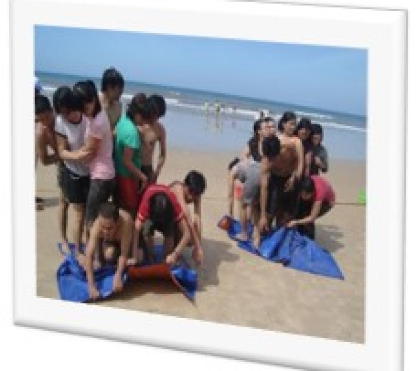 KHU DÃ NGOẠI BÒ CẠP VÀNG