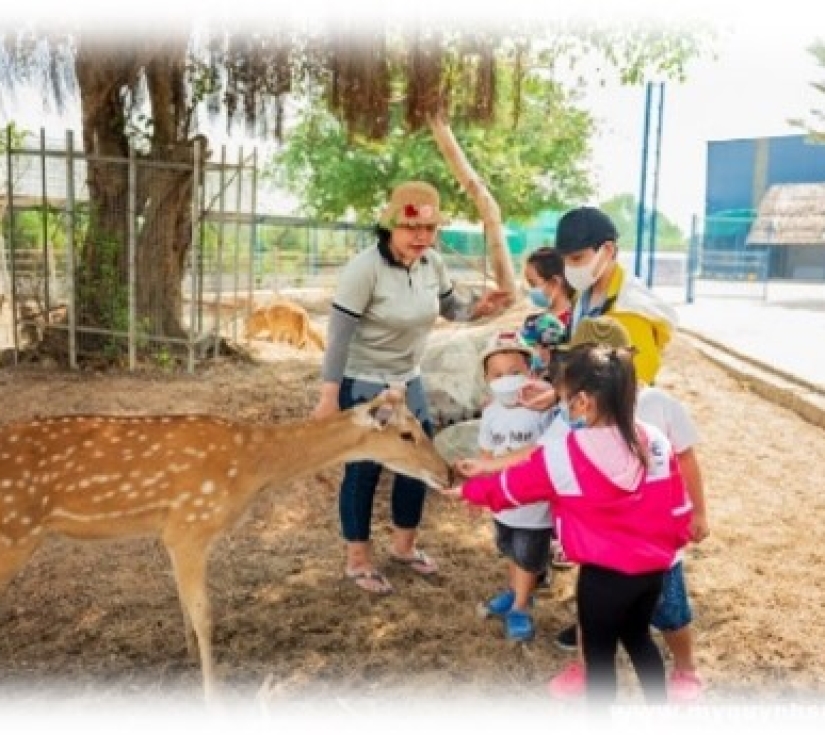 DI TÍCH LÁNG LE - BÀU CÒ & VƯỜN THÚ MỸ QUỲNH SAFARI