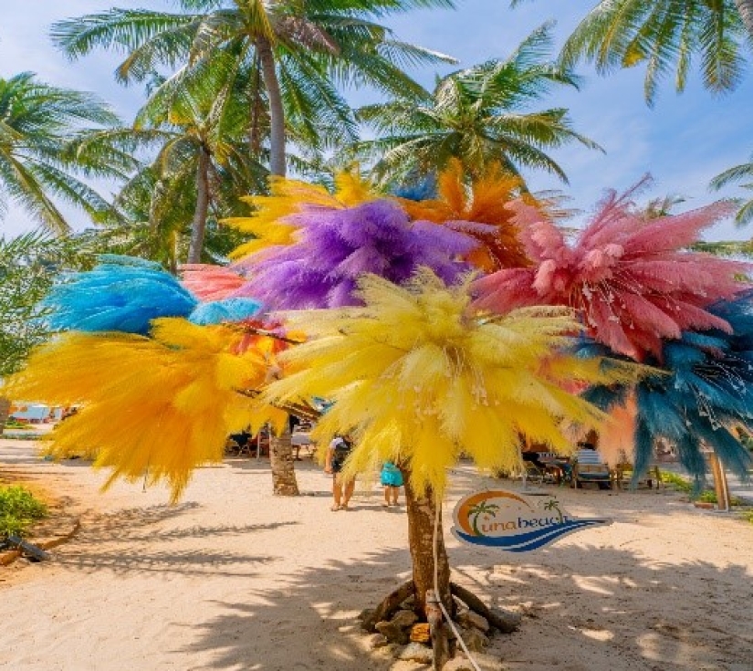 PHAN THIẾT – MŨI NÉ  SA MẠC HOANG SƠ
