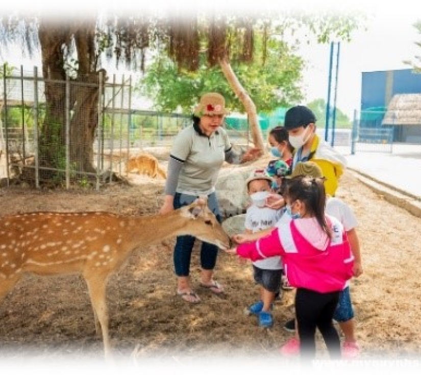 Hành Trình Học Tập & Khám Phá Thiên Nhiên – Di Tích Láng Le Bàu Cò & Vườn Thú Mỹ Quỳnh Safari