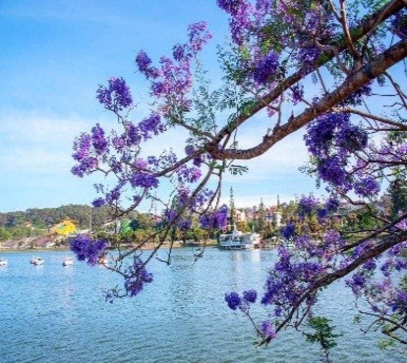NINH CHỮ  - VĨNH HY - ĐÀ LẠT  