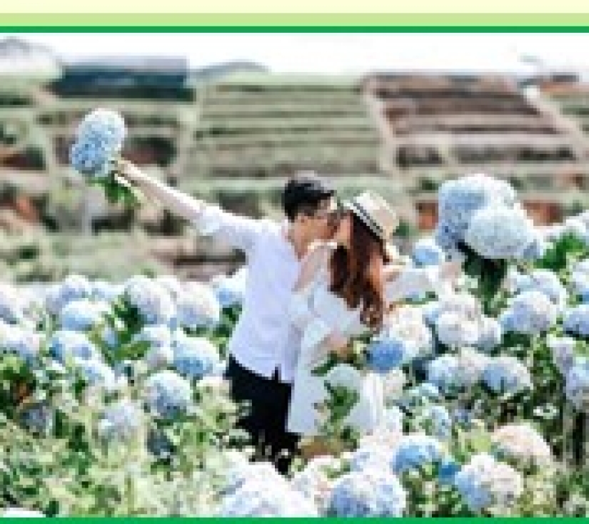 NINH CHỮ  - VĨNH HY - ĐÀ LẠT  