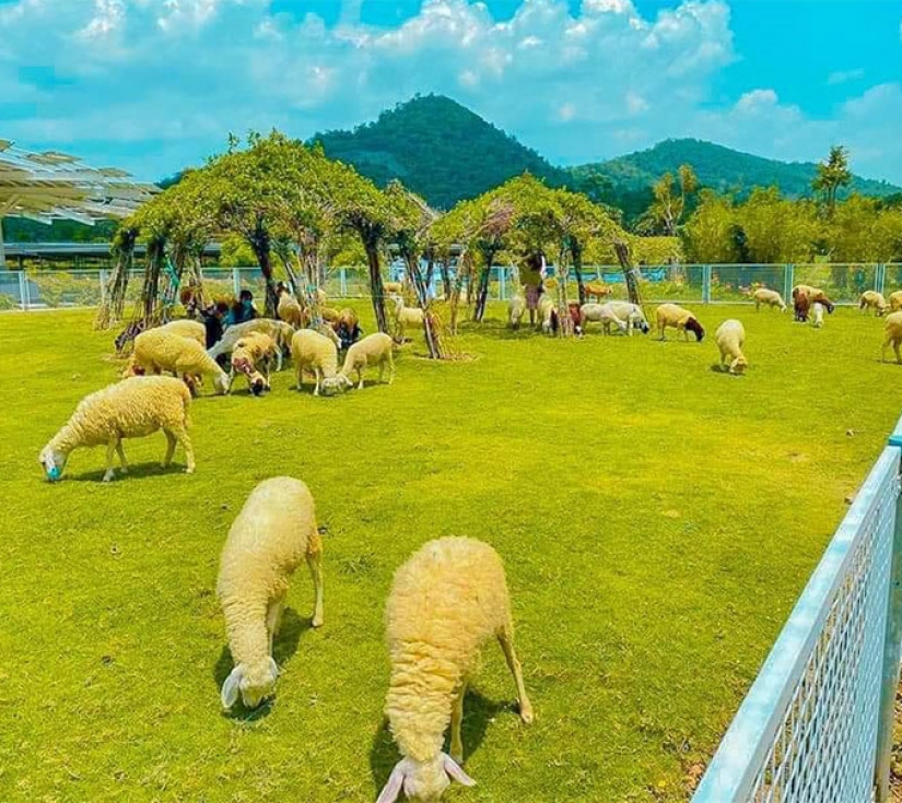 CHÙA BÀ  – NÚI SAM – KHU DU LỊCH ĐIỆN MẶT TRỜI AN HẢO