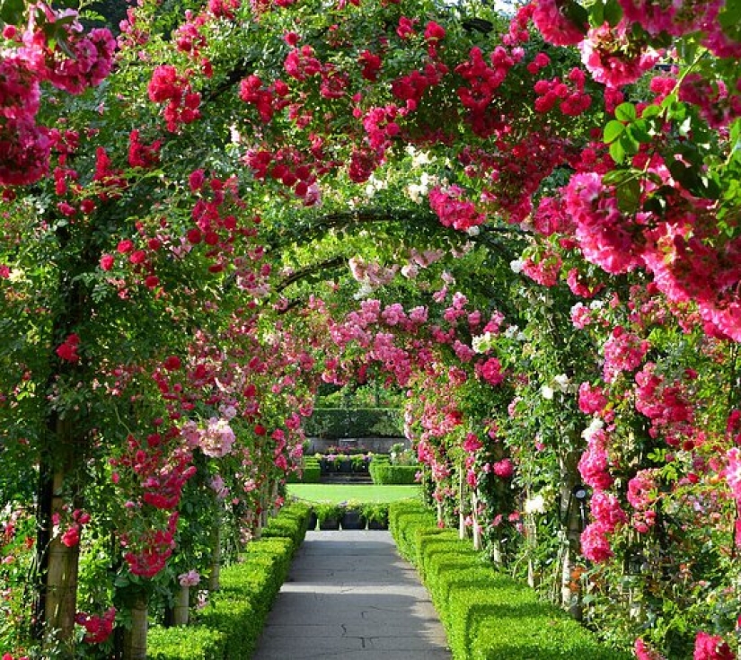 DU NGOẠN BỜ TÂY CANADA
