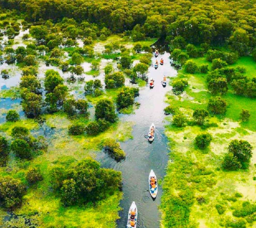 TOUR CHÙA BÀ CHÂU ĐỐC - RỪNG TRÀM TRÀ SƯ