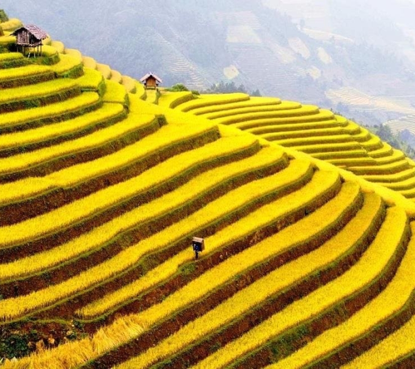 HÀ NỘI -  SAPA - MOANA - FANSIPAN- BẢN CÁT CÁT KHÁM PHÁ MẢNH ĐẤT ĐỊA ĐẦU Y TÝ - LŨNG PÔ